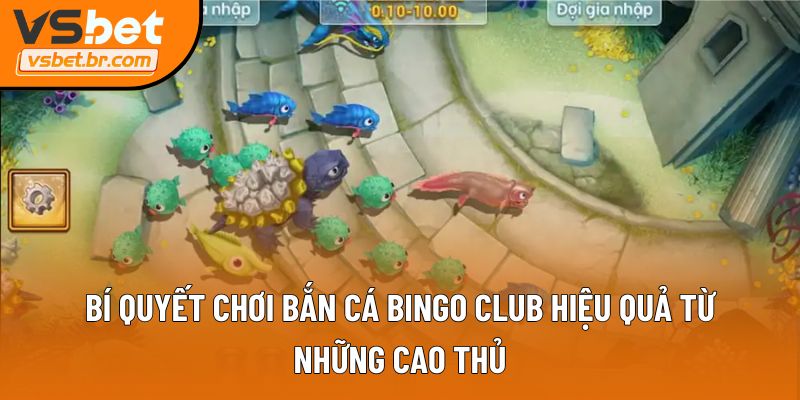 Bí quyết chơi Bắn Cá Bingo Club hiệu quả từ những cao thủ
