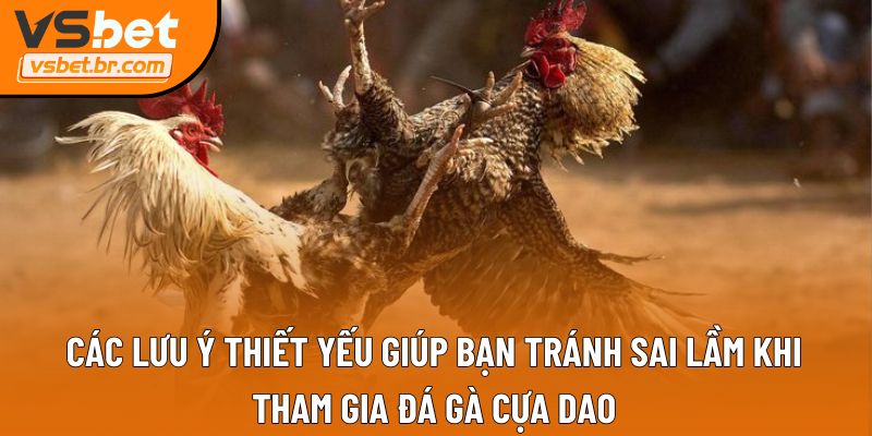 Các lưu ý thiết yếu giúp bạn tránh sai lầm khi tham gia đá gà cựa dao