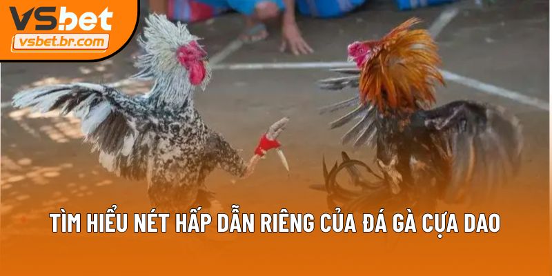 Tìm hiểu nét hấp dẫn riêng của đá gà cựa dao