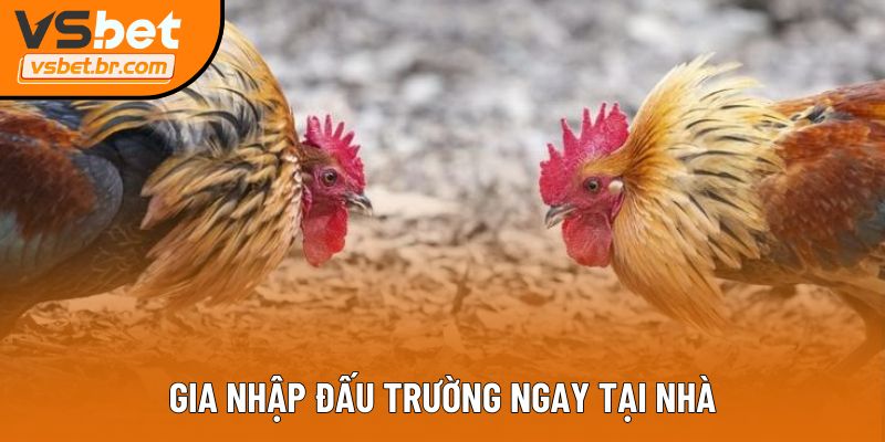Gia nhập đấu trường ngay tại nhà