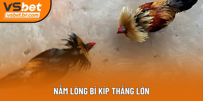 Nằm lòng bí kíp thắng lớn