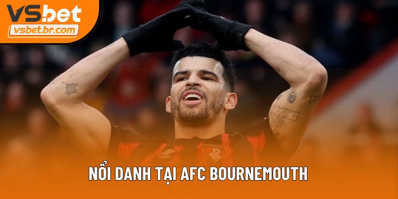 Nổi danh tại AFC Bournemouth