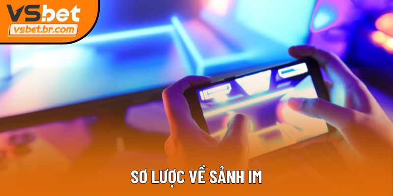 Sơ lược về sảnh IM